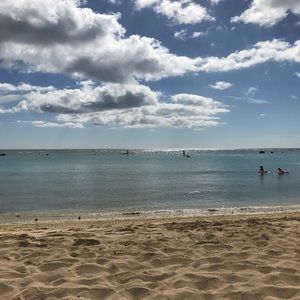 Meet your Posher, Shannon